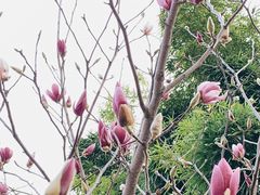-晓港公园