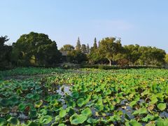 -无锡蠡湖国家湿地公园-蠡园