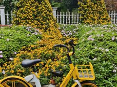 -华雅花园大酒店