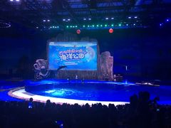 -华夏文旅海洋公园