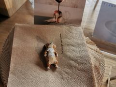 -VOYAGE COFFEE(北锣鼓巷店)