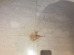 -上海衡山路十二号华邑酒店