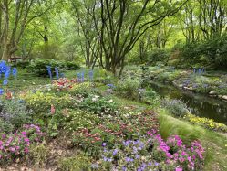 -BabyA 专业婴童摄影(古北时尚广场店)