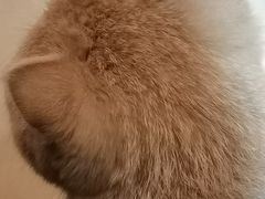 -老虎滩船说·大连海鲜(老虎滩店)