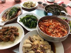-水上鱼当家
