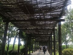 -处女泉风景名胜区