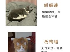 -纳吉亚猫专科动物医院博雅分院
