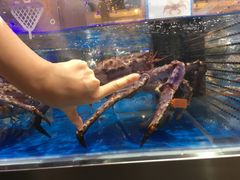 -盒马X会员店(王府井奥莱UP TOWN店)