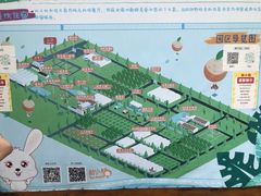 -前小桔亲子创意农场·草莓采摘·露营烧烤