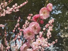 -天鹅湖体育公园