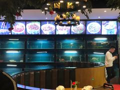-大鸽饭(马王堆店)