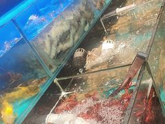 -苏格里岛自助烤肉海鲜火锅(成都金牛万达店)