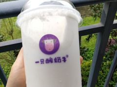 乐乐桃桃酸奶多-一只酸奶牛(八一路店)