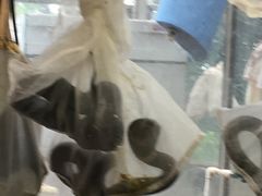 -荔城生鲜盛宴(番禺旗舰店)