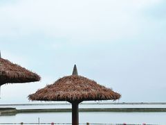 -碧海金沙