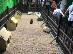 -常州海昌海洋探索馆