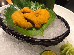 活海胆刺身（限量）-渔寿司·日本料理(艾尚天地店)