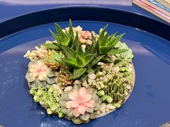 -梨媛花艺设计
