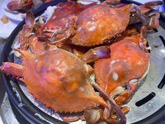 -半岛听涛蒸汽海鲜自助(K11店)
