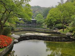 -云溪植物园