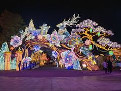 -淄博花灯齐彩城