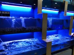 水产区-老虎滩大连海鲜烧烤(建邺云锦路总店)