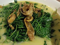 河蚌秧草-周家二小姐的菜(西津渡店)