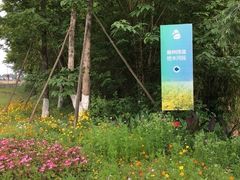 -桤木河湿地公园