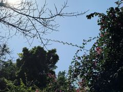 -广州市白云山风景名胜区