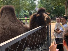 -长白岛森林公园