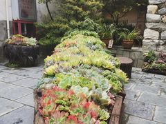 -寂照庵
