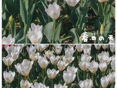 -长春公园(普阳街道)