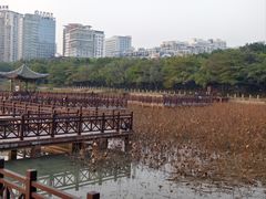 -南宁南湖公园