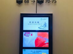 -上海中心大厦