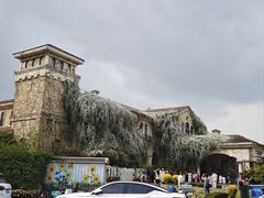-府河摄影公园