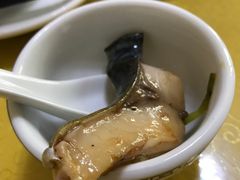 稀鳞硅鱼-煲来饱去冷水鱼