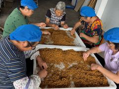 -苏州市吴中区光福窑上花果蜜饯厂