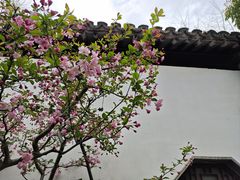 -苏州园林博物馆