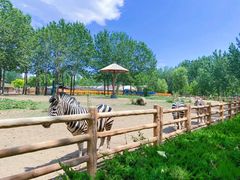 -大连森林动物园