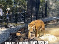 -北京野生动物园