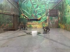 -西安秦岭野生动物园