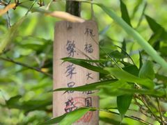 -川西竹海景区