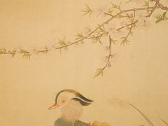 -【朵云轩艺术中心】博洛尼亚插画展·中国巡展·上海站