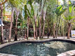 -罗浮山嘉宝田森林温泉度假酒店