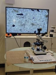 -黎蓓露·徒手骨雕蛋白抗衰·调肤管理