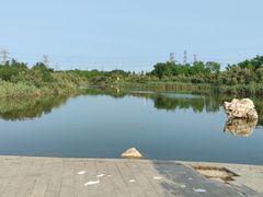 -大港湿地公园