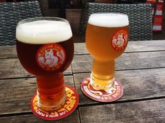 -Boxing Cat Brewery拳击猫精酿啤酒馆(永福店)