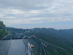 -城外有星光桥舍(南山店)