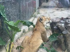 -深圳野生动物园