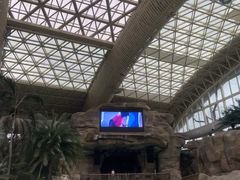 -杭州开元森泊度假乐园